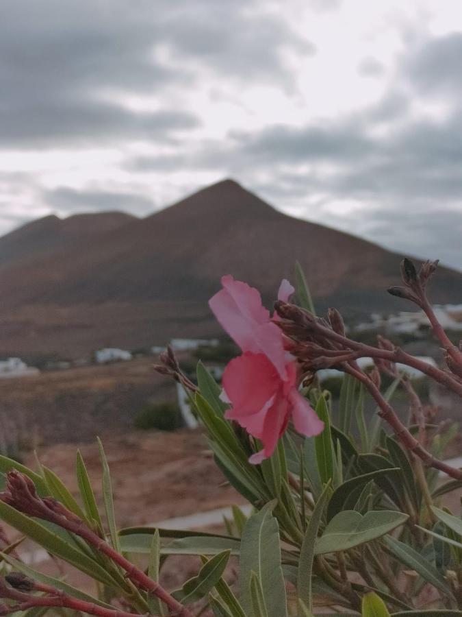 La Morreta Suites I - Lanzarote Кониль Экстерьер фото